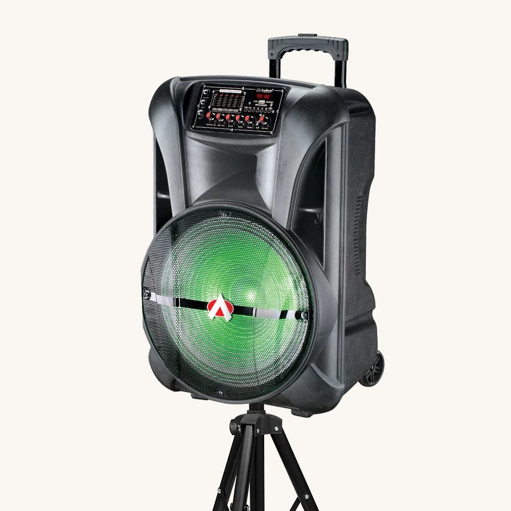 AUDIONIC ROYAL 10+ | 15"  TROLLY SPEAKER