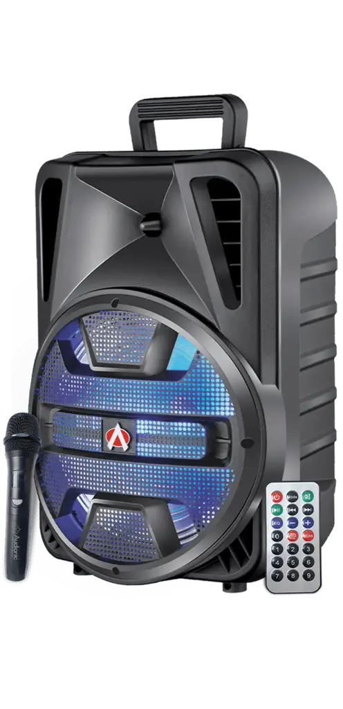 AUDIONIC MH701 PLUS | 12" TROLLY SPEAKER